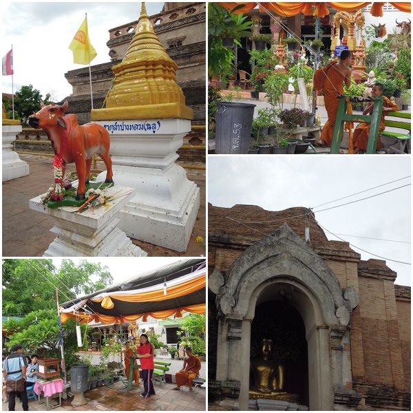 chiangmai316
