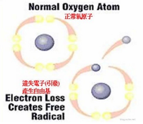 自由基產生.jpg