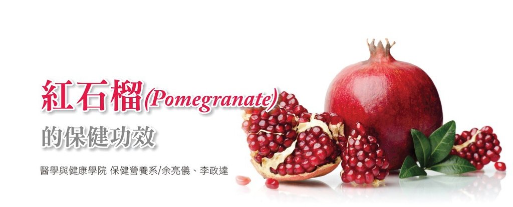 紅石榴01.jpg