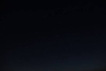 IMG_7966.JPG