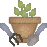0blomkruka5.gif