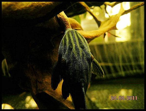 DSCN0899.JPG