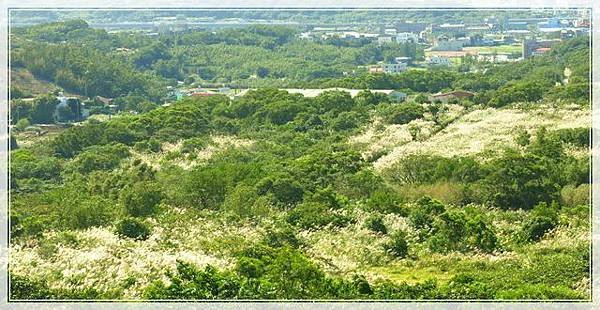 大古山步道_001