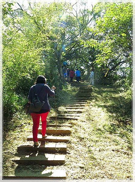 大古山步道_023