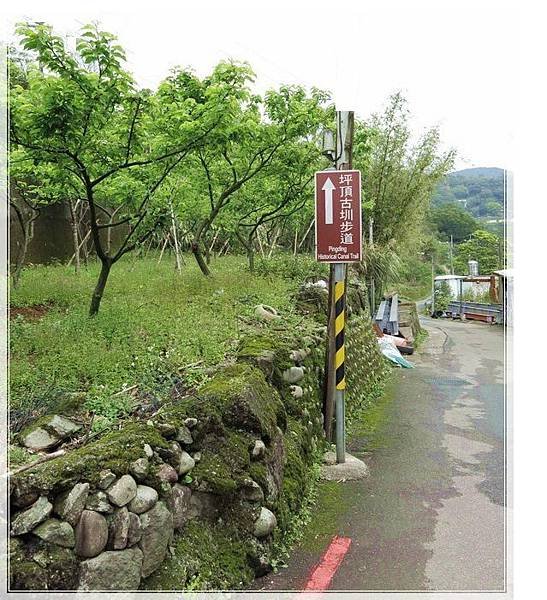 平頂古圳步道_020.jpg