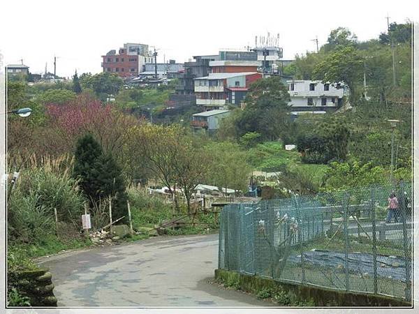 平頂古圳步道_029.jpg