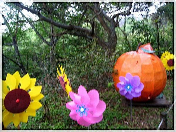 十八尖山賞花_032.JPG