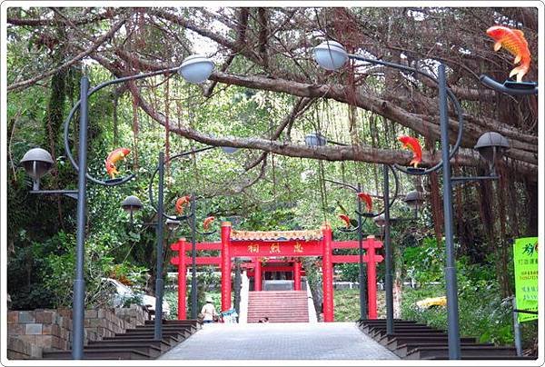 鯉魚山公園_013.JPG