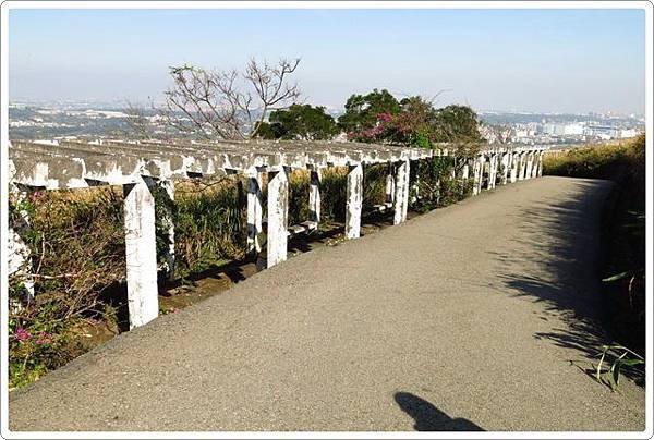 太平山頂步道_052.JPG