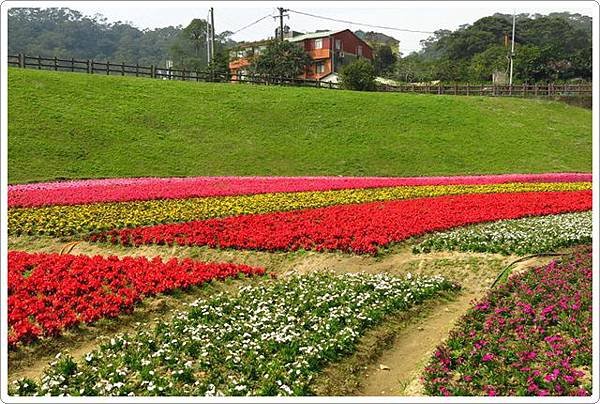 大溝溪步道_13.jpg