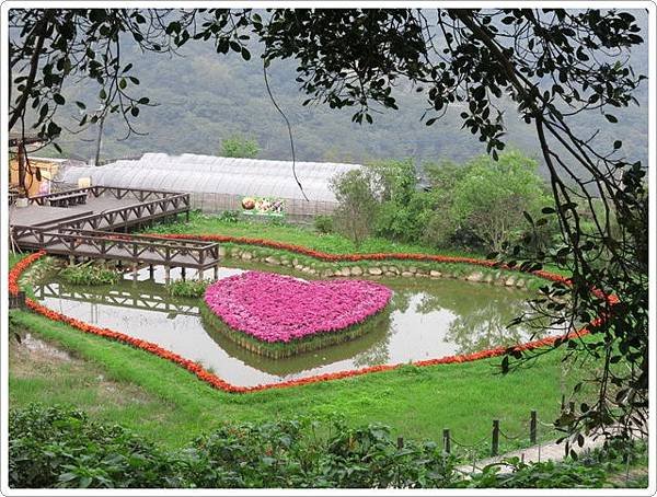 白石湖吊橋_37.jpg