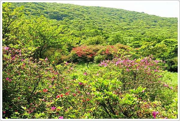 大屯自然公園_40.jpg