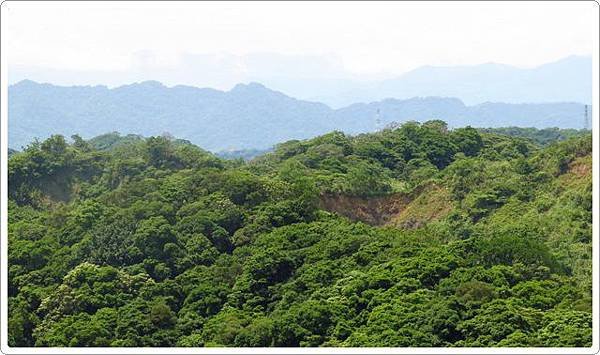 福源山步道_08.jpg