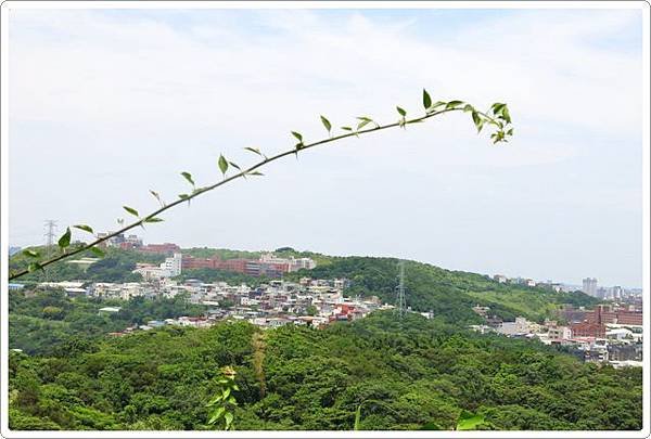 福源山步道_19.jpg