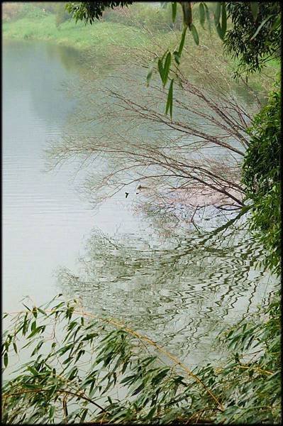 明德水庫明湖蘇堤_023.jpg