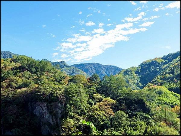 秀巒楓樹林_05.jpg