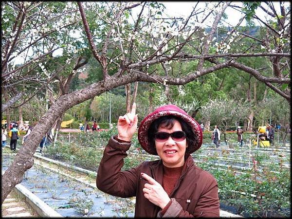 樂活熊城市嘉年華_110.JPG