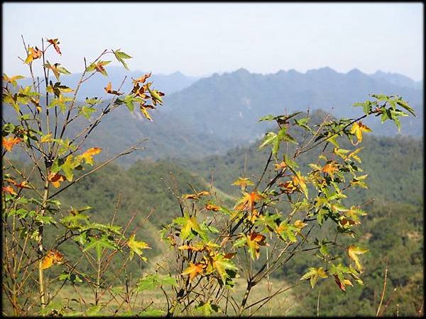 碧潭_57.jpg