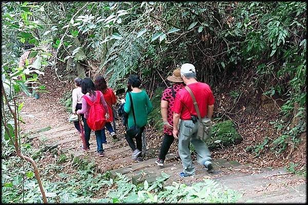 4腳亭砲台登山步道_105.jpg