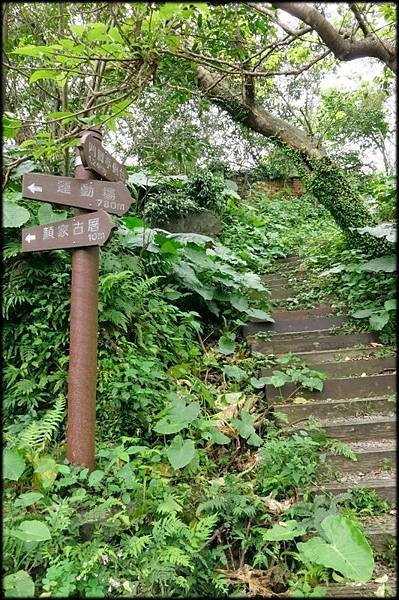 4腳亭砲台登山步道_111.jpg