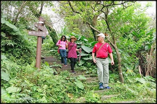 4腳亭砲台登山步道_112.jpg