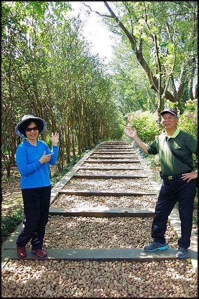 陽明山花卉試驗中心_03.jpg