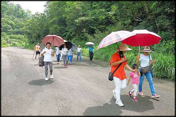 平湖森林步道_01.jpg