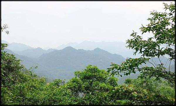 平湖森林步道_27.jpg