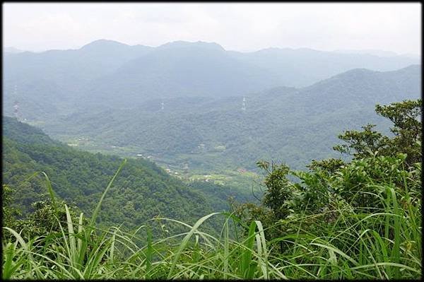 平湖森林步道_38.jpg