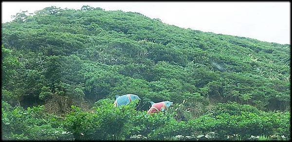 花東海岸風景-2_106.jpg