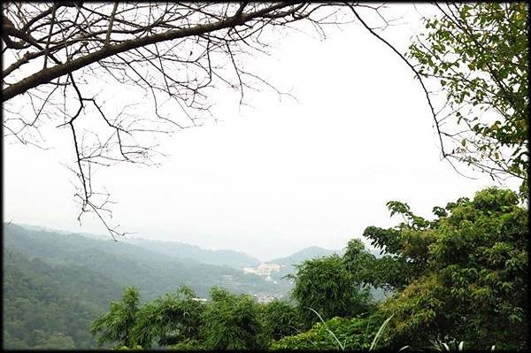 永福山龍山寺步道_051.JPG