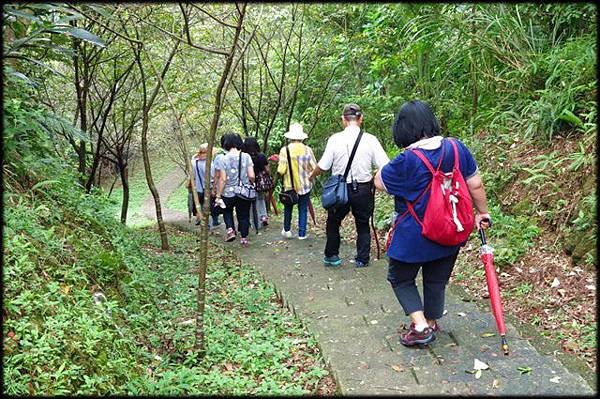 永福山龍山寺步道_062.jpg