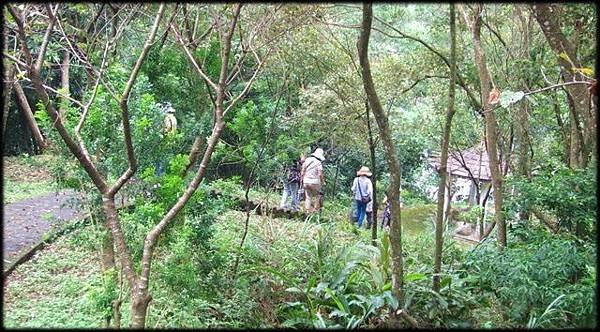 永福山龍山寺步道-1_3116.jpg