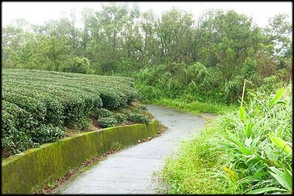 籟貍尖步道_364.jpg