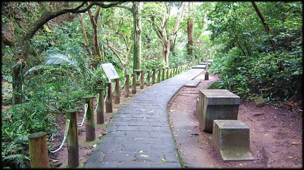 大溝溪生態步道-1_034.jpg