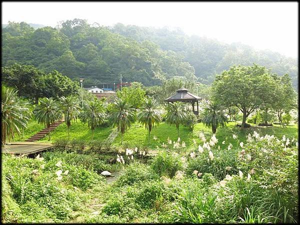 姜子寮絕壁探路_012.jpg