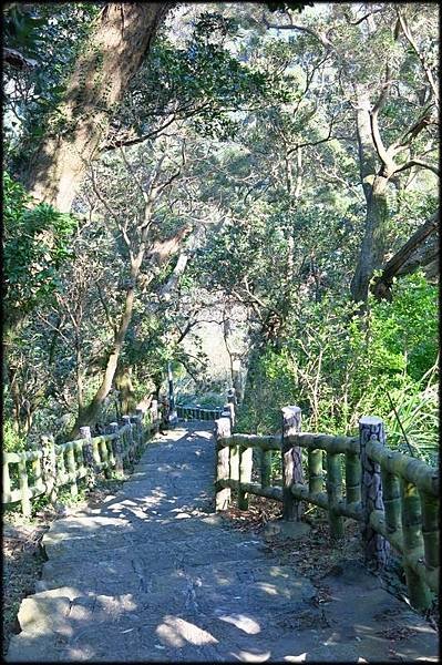 十八拐圳步道_098.jpg