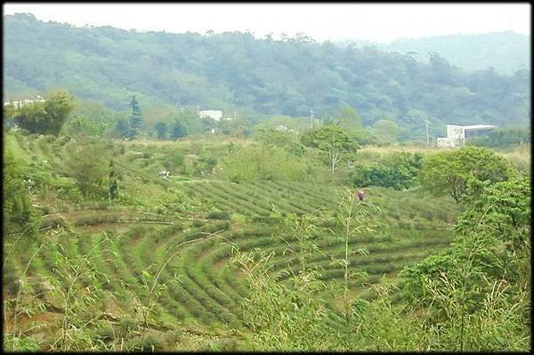 龍泉步道_026.jpg