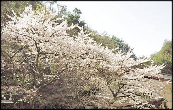 新潟傳奇（2）_154.jpg