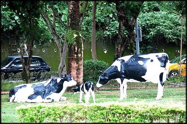 南港公園_001.jpg
