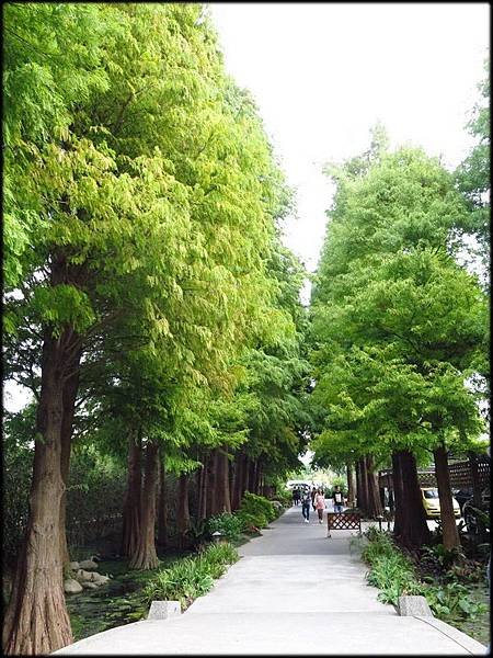 菁芳園_055.jpg