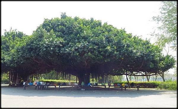 溪州公園_187.jpg