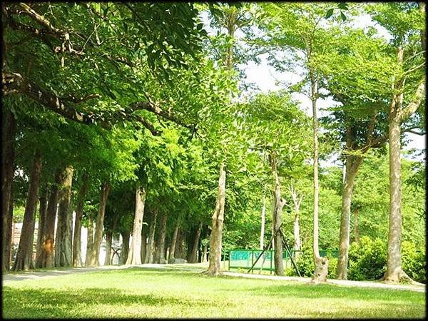 羅東運動公園_007.jpg