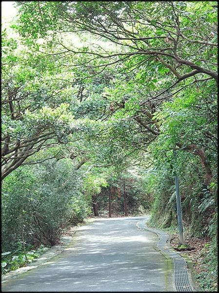 金山獅頭山公園_027.jpg