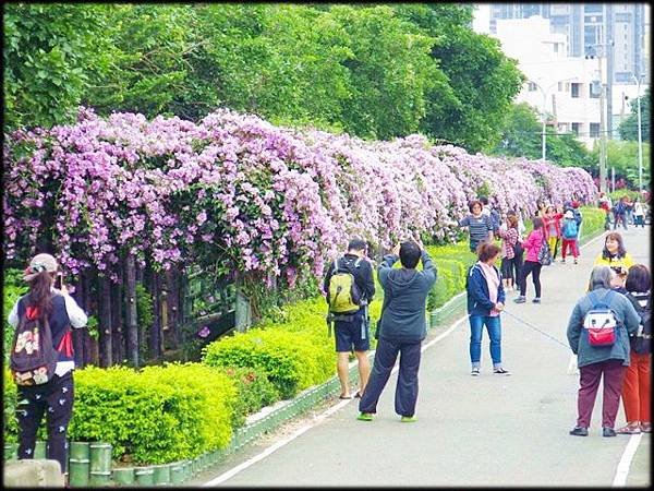 楓樹河濱公園_092.jpg