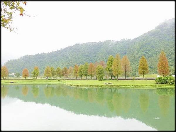 蜊埤湖_023.jpg