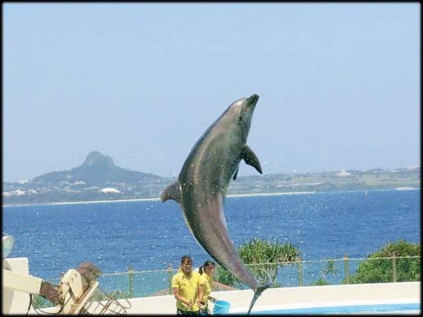 沖繩旅遊（2）_198.jpg