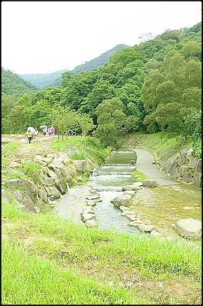 大溝溪步道_025.jpg