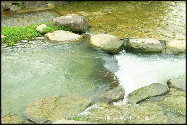 大溝溪步道_028.jpg