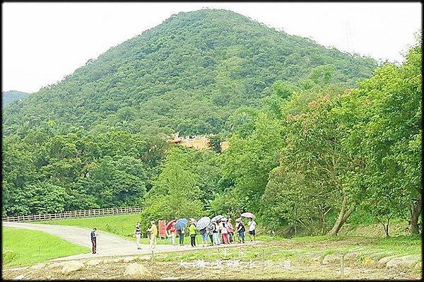 大溝溪步道_032.jpg